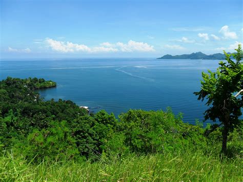 dapitan bay 1|DAPITAN BAY1 .
